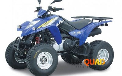 Quad Kymco KXR 250